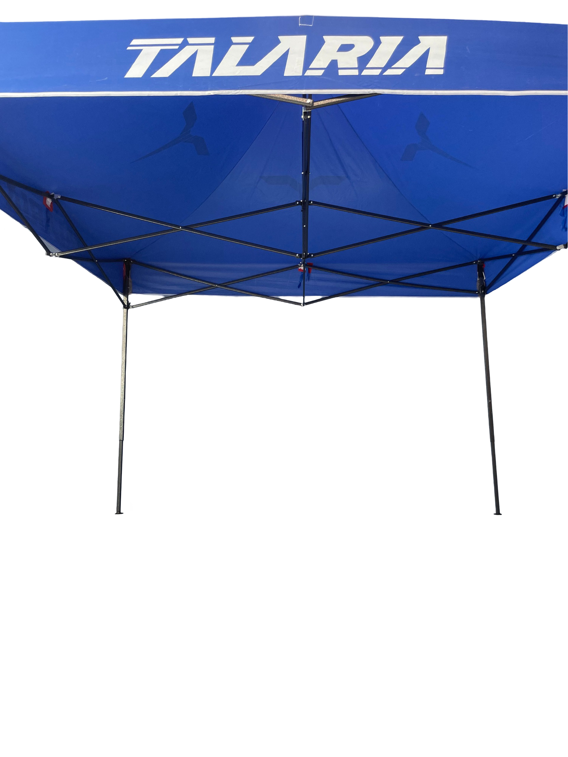 Talaria tent 3x3 meters
